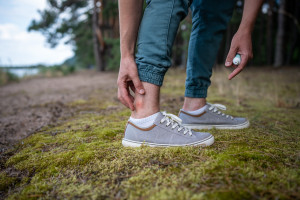 Gorsze niż komary. Atakują do skutku, tną skórę i pozostawiają rany