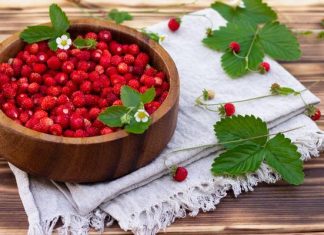 Zdrowsze i słodsze niż truskawki. Wygładzą cerę, obniżą ciśnienie krwi