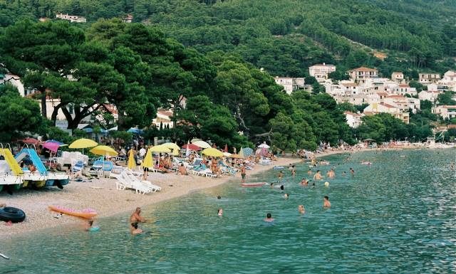 Nie tylko słońce parzy. Co cię może ukłuć, ugryźć albo poparzyć podczas urlopu? Sprawdź, jak unikać zagrożenia i co zrobić, gdy ucierpisz