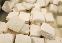 Sprzymierzeniec jelit o ogromnym potencjale. Silny wpływ na mikrobiom