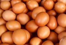 Brzuch jak balon i nieprzyjemne gazy. Jabłka, grzyby i jajka na zakazanej liście